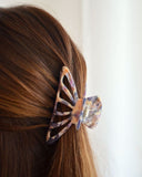 PINCE À CHEVEUX MULTICOLORE