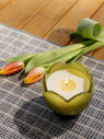 BOUGIE TULIPE VERVEINE ET CITRONNELLE